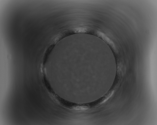 X0000097850209200803201544