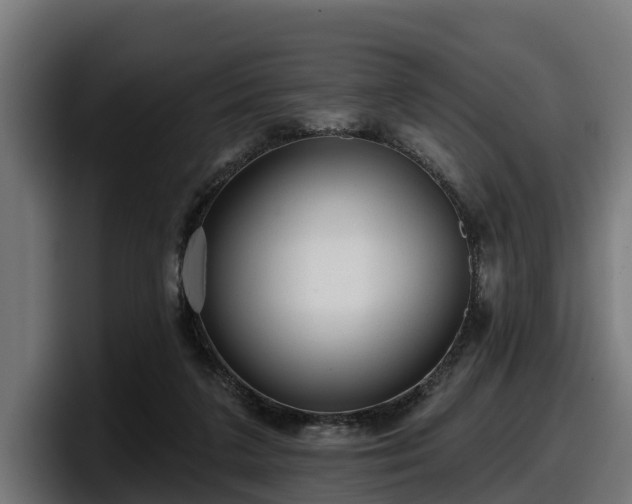 X0000097850211200803201544