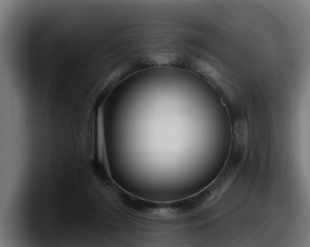 X0000097850212200803201544