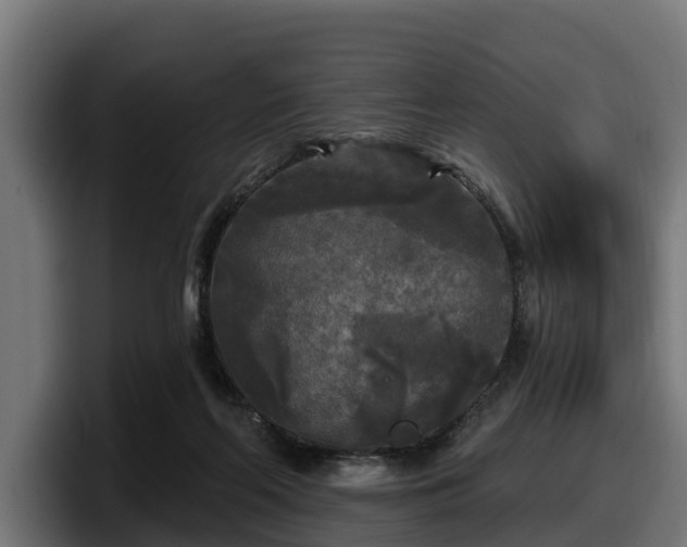 X0000097850214200803201544