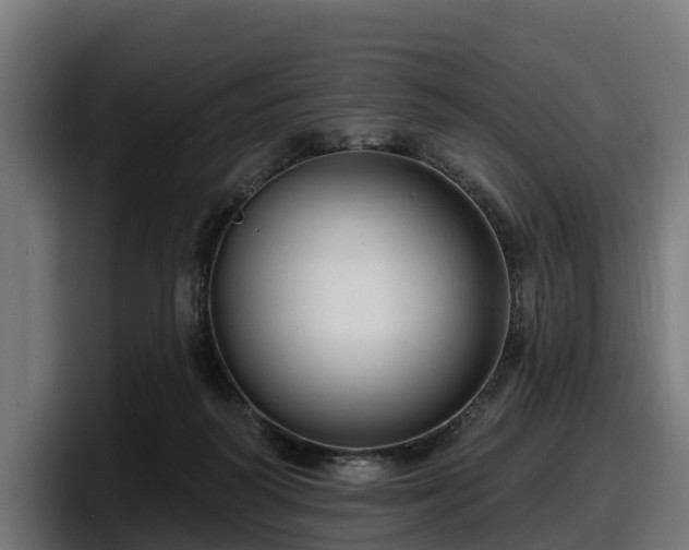 X0000097850218200803201544