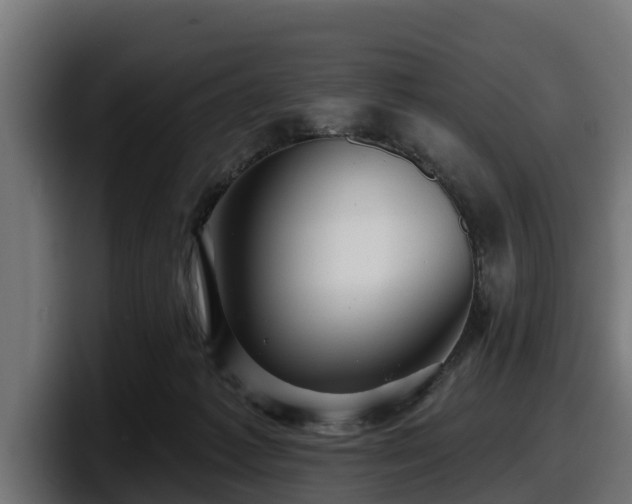 X0000097850221200803201544