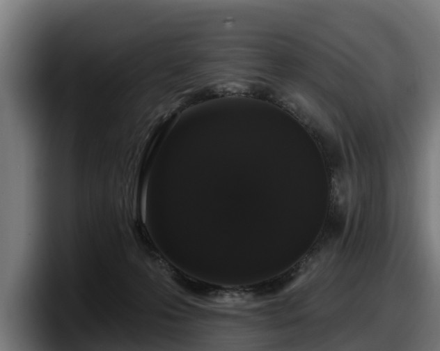 X0000097850223200803201544