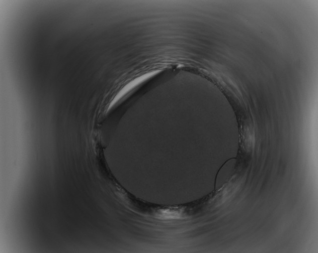 X0000097850232200803201544