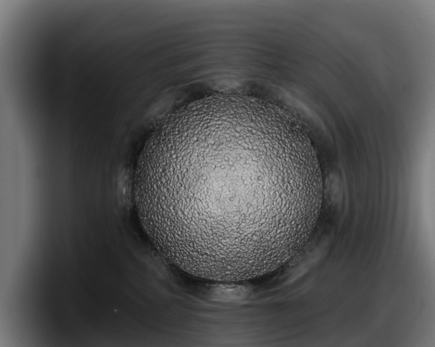 X0000097850234200803201544