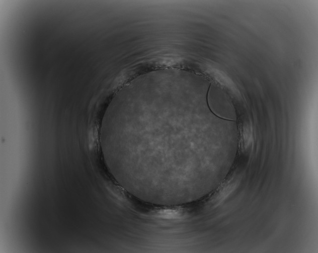 X0000097850236200803201544