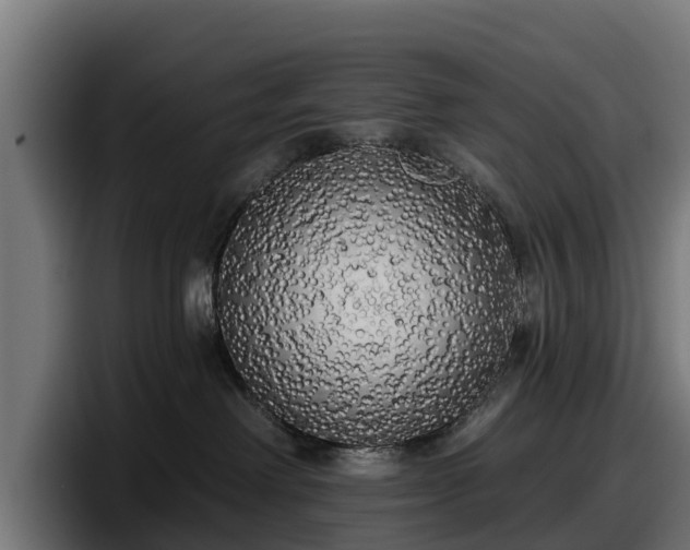 X0000097850238200803201544