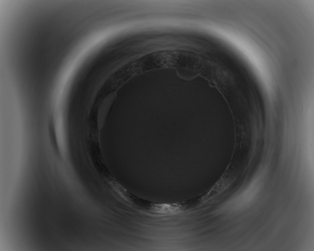 X0000097850239200803201544