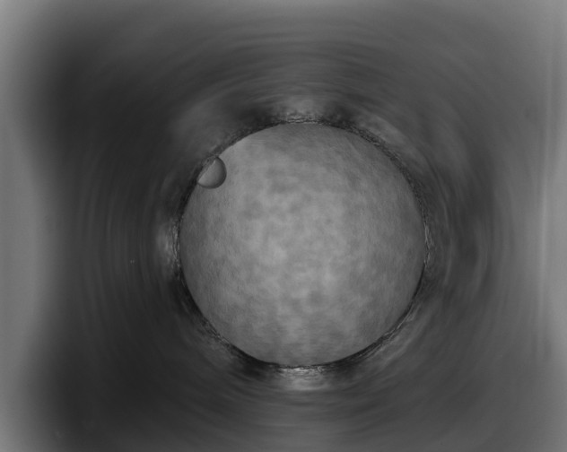 X0000097850240200803201544