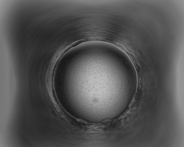 X0000097850241200803201543