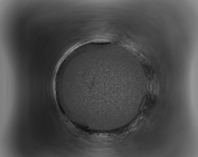 X0000097850244200803201543