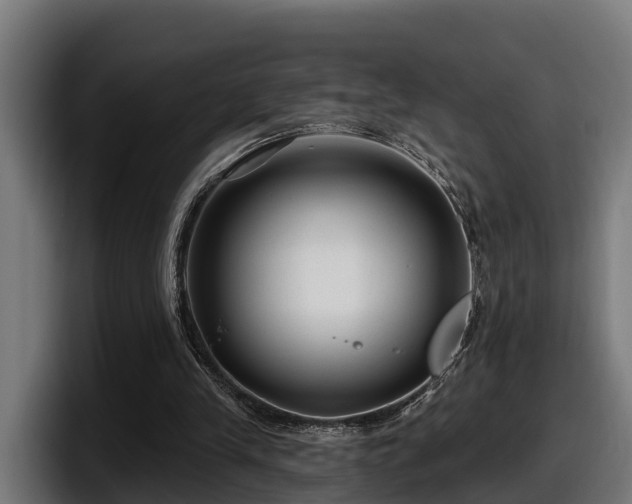 X0000097850245200803201543