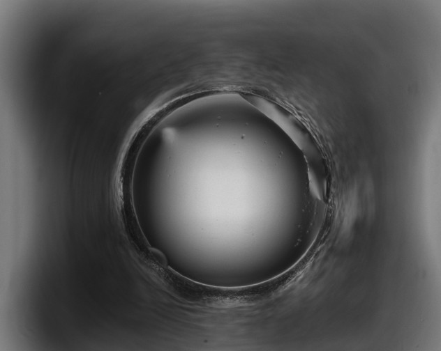 X0000097850246200803201543