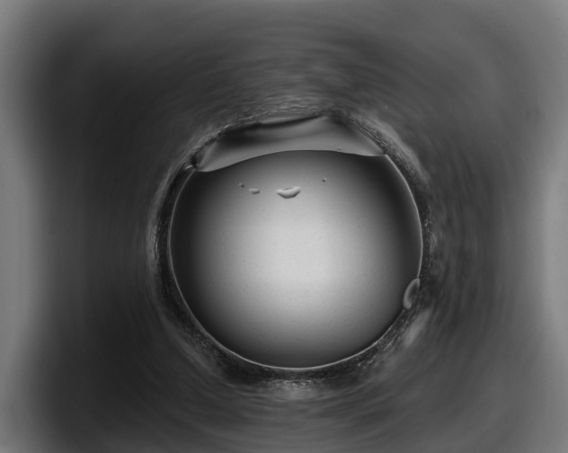 X0000097850250200803201543