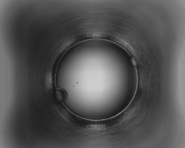 X0000097850251200803201543