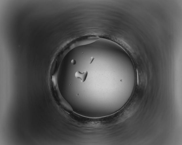 X0000097850252200803201543