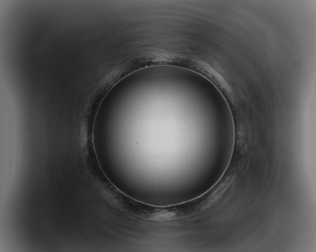 X0000097850257200803201544