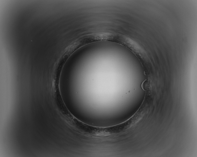 X0000097850258200803201544