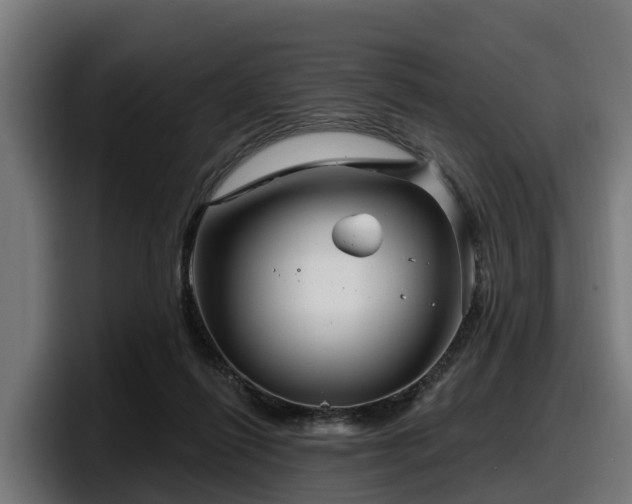 X0000097850262200803201544