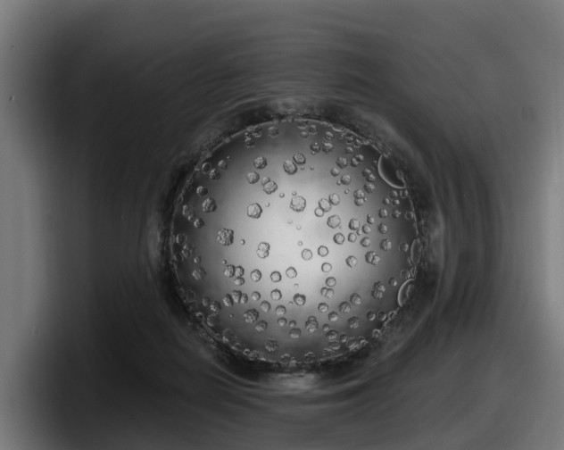 X0000097850266200803201544