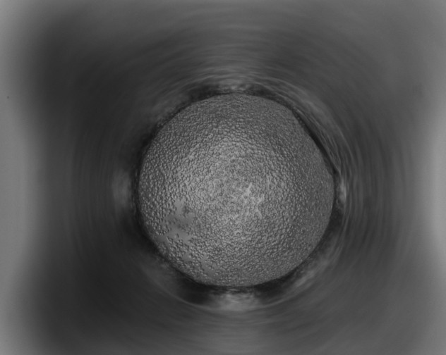 X0000097850270200803201544