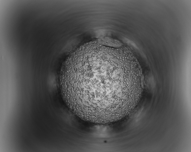 X0000097850272200803201544