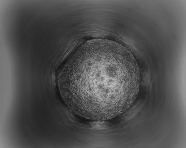 X0000097850273200803201544