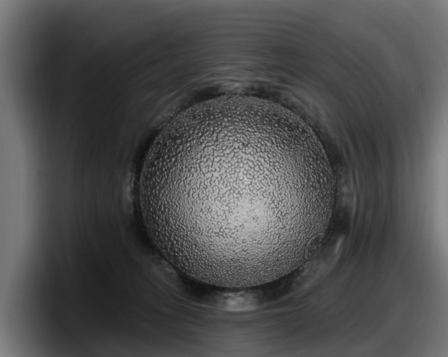 X0000097850275200803201544