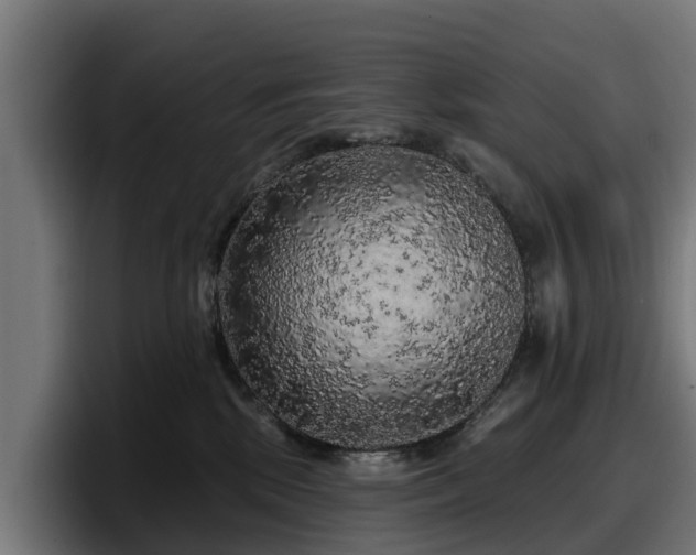 X0000097850281200803201544