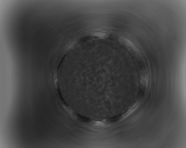 X0000097850285200803201544