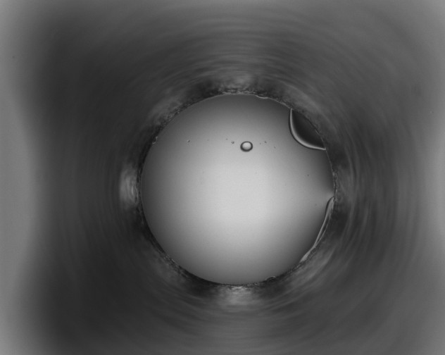 X0000097850287200803201544