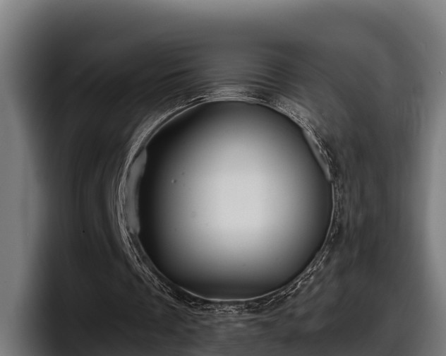 X0000097850289200803201543