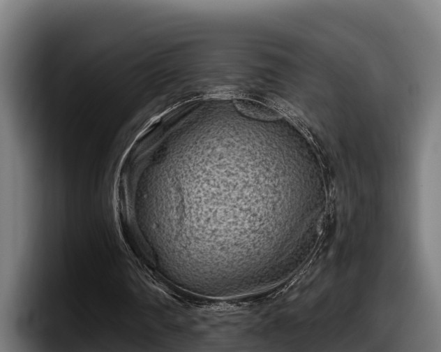 X0000097850290200803201543