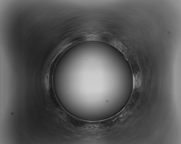 X0000097850291200803201543