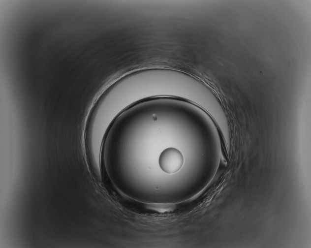 X0000097850292200803201543