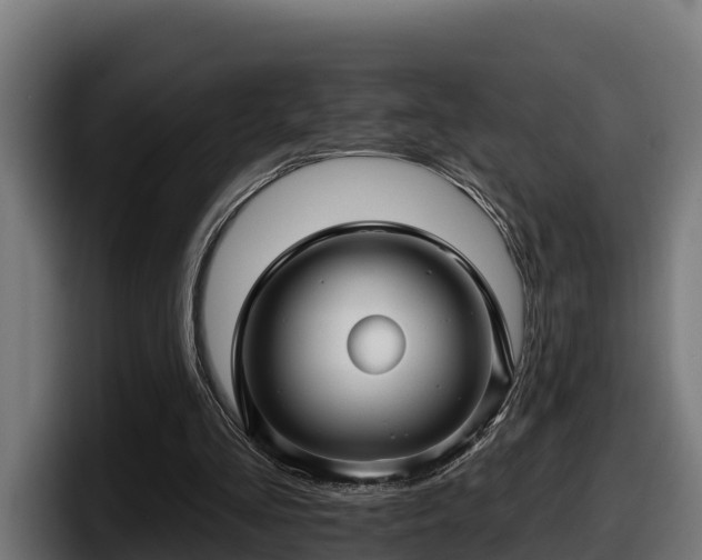 X0000097850293200803201543