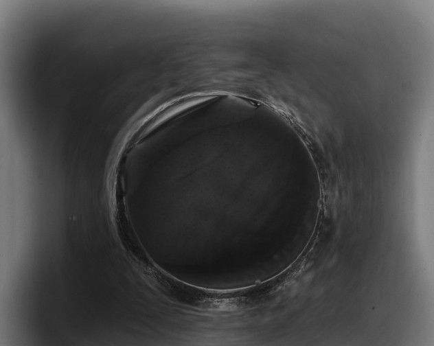 X0000097850295200803201543