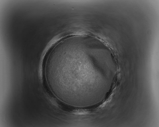 X0000097850296200803201543