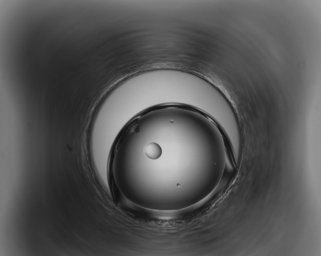 X0000097850297200803201543