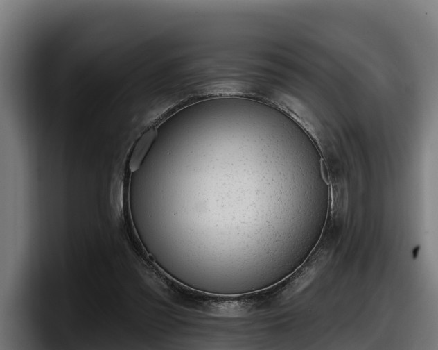 X0000097850301200803201543