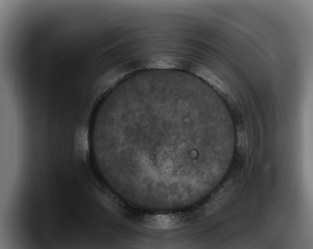 X0000097850302200803201543