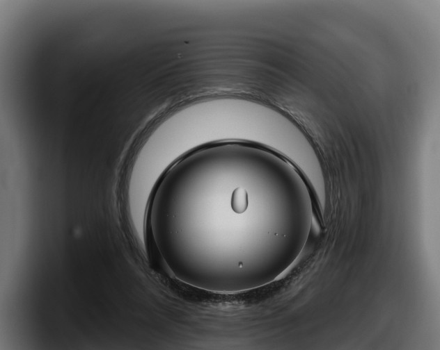 X0000097850304200803201543