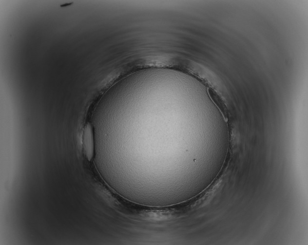 X0000097850305200803201543