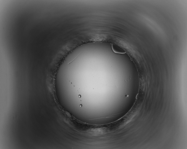 X0000097850307200803201543