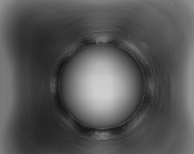 X0000097850311200803201543