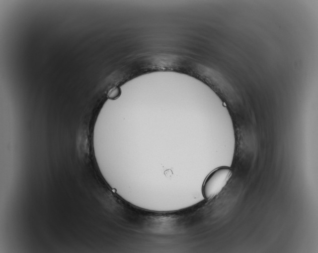 X0000097850313200803201543