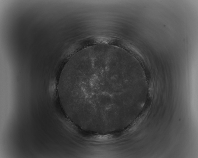 X0000097850314200803201543