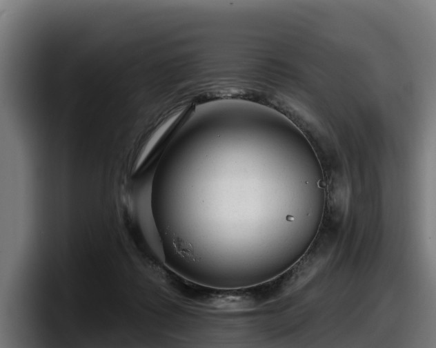 X0000097850315200803201543