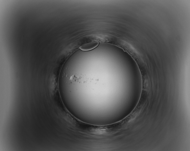 X0000097850318200803201543