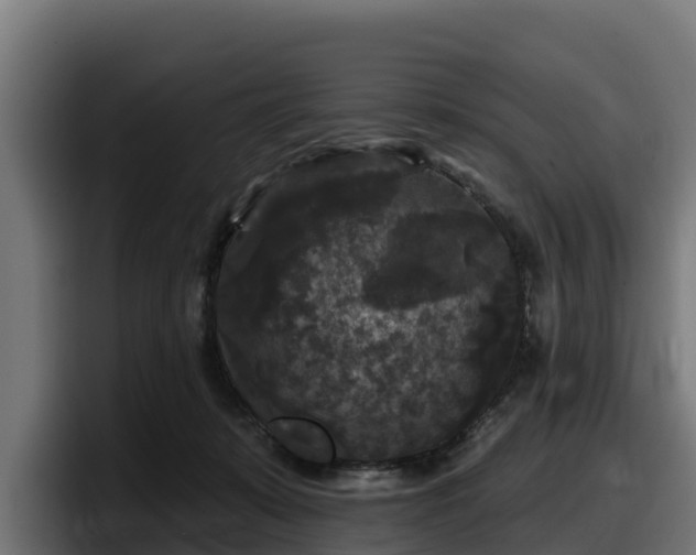 X0000097850319200803201543